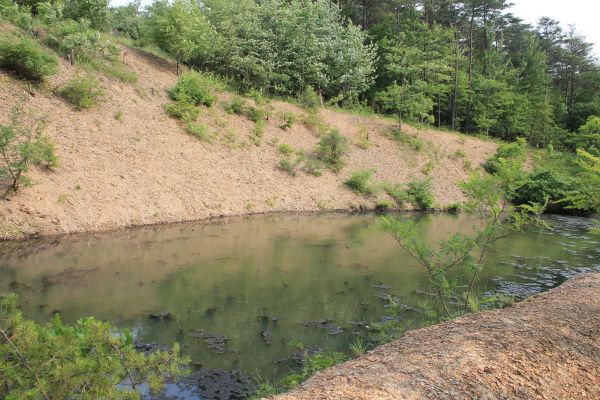 Pond Erosion Repair in Wexford